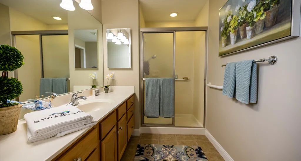 A well-lit bathroom with a shower, vanity, and decorative details.