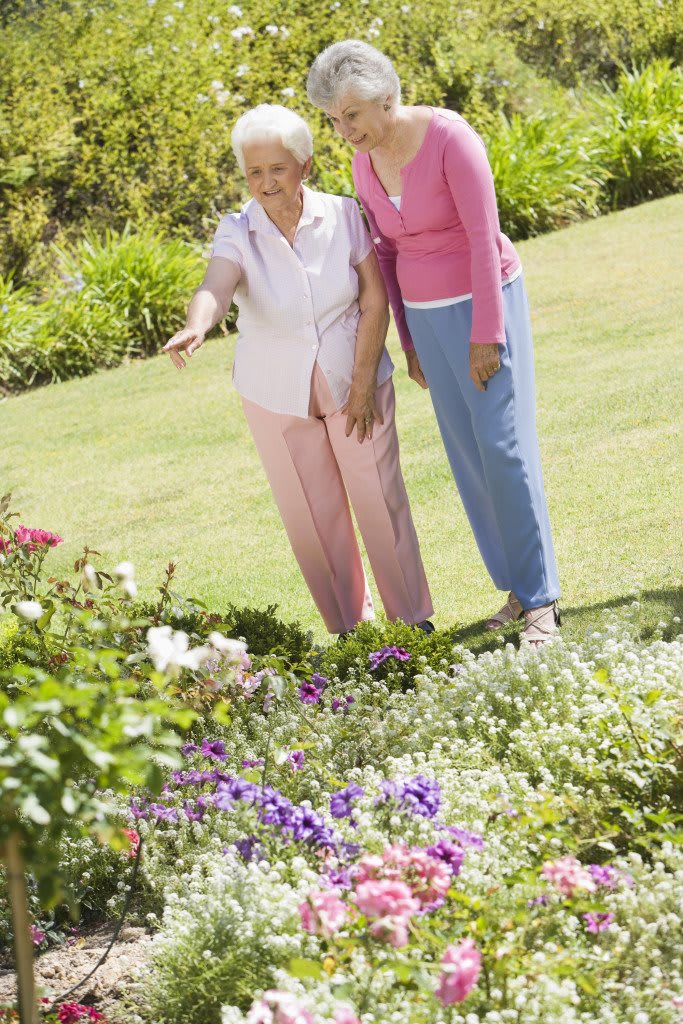 Two people enjoying a walk in the garden, admiring the flowers.