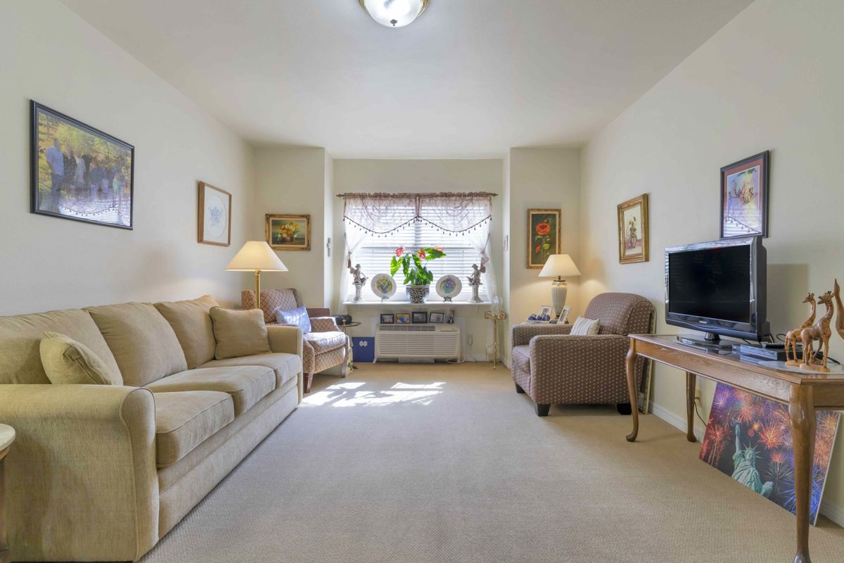 A cozy living room with sofas, an armchair, and a television, complemented by plants and natural light from the window.