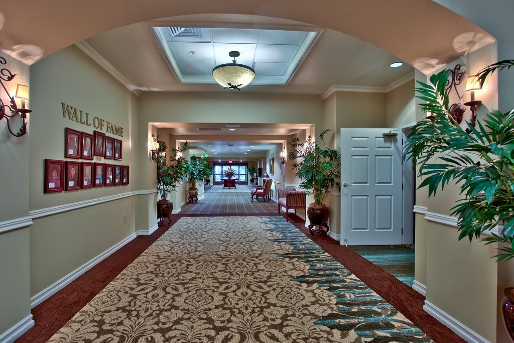 A well-decorated hallway with a patterned carpet and ceiling lighting.