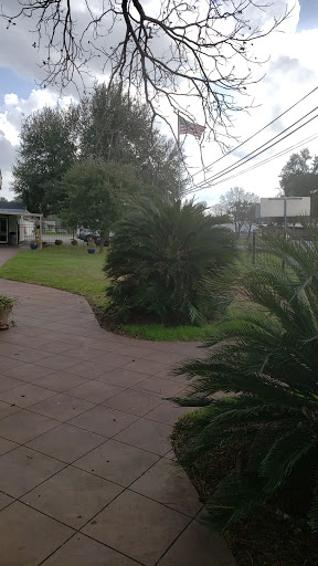 A serene outdoor view featuring lush greenery and a winding pathway.