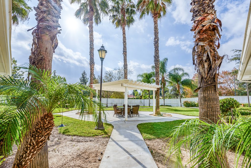 A sunny day in a park with palm trees, featuring a gazebo at the end of a winding pathway.