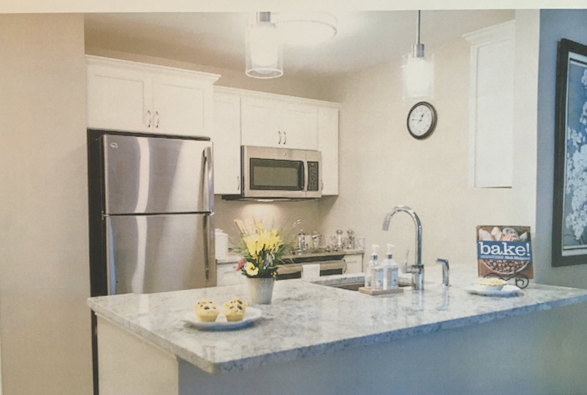 A modern kitchen with stainless steel appliances and a marble countertop, featuring pendant lighting and a small bouquet of flowers.
