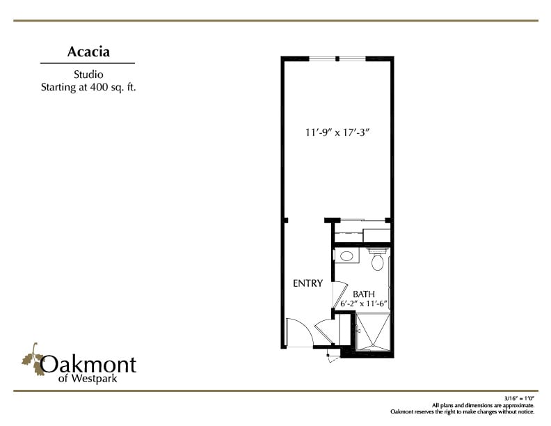 Studio apartment floor plan labeled as 'Acacia' with a living area, bathroom, and entryway.