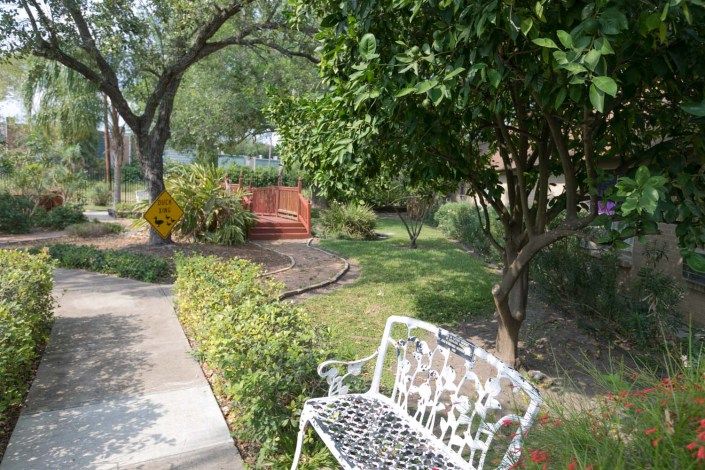 A tranquil garden scene with a bench, lush greenery, and a pathway.