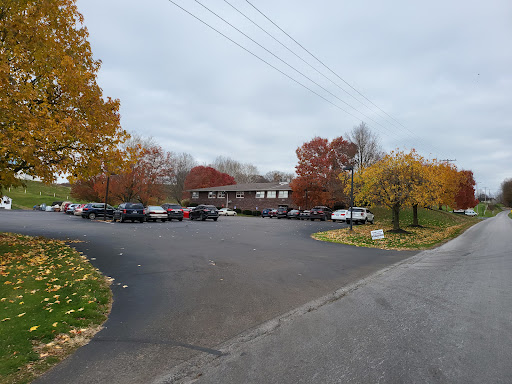 A view of a parking lot surrounded by autumn trees under an overcast sky.