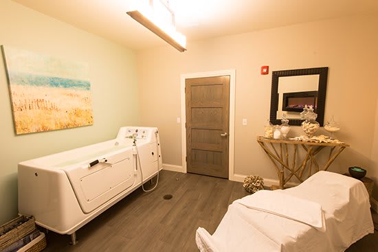 A serene spa treatment room featuring a massage table and hydrotherapy bathtub, creating a peaceful ambiance for relaxation.