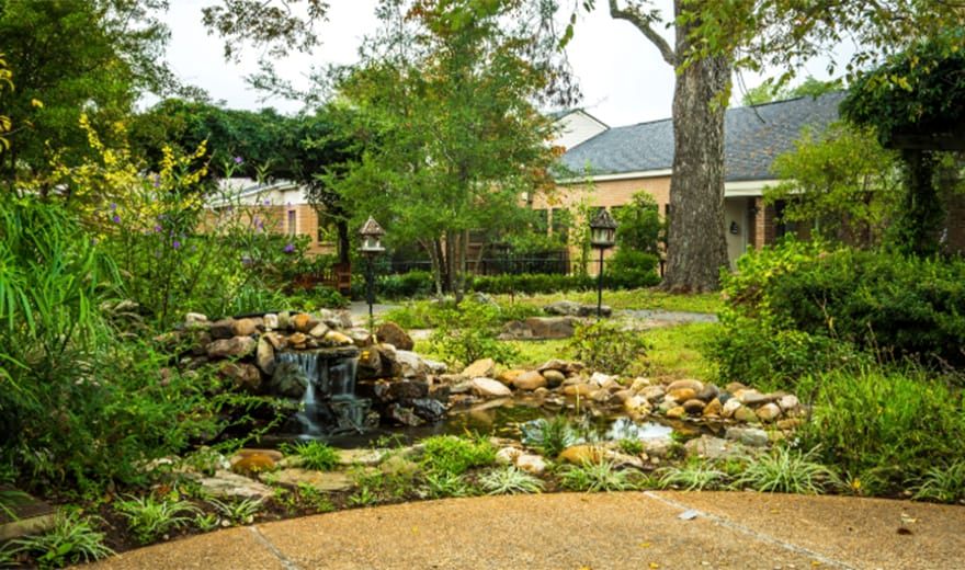 A serene garden with a small pond and lush greenery in front of a house.
