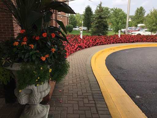 A beautifully landscaped area featuring vibrant flowers along a curved pathway.
