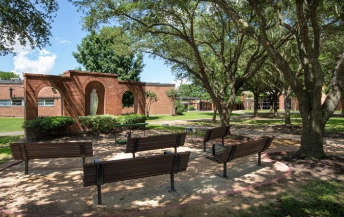 A peaceful park scene with benches under the trees, surrounded by greenery and a brick structure.