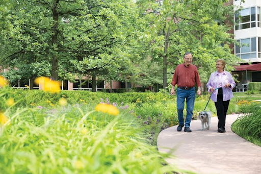 A couple enjoying a leisurely walk with their dog in a lush green park.