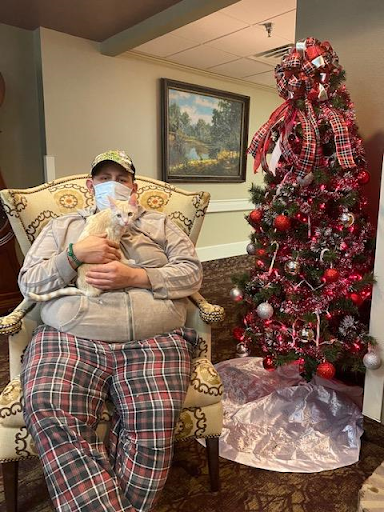 A cozy moment during the holiday season, featuring a person in a comfortable chair holding a fluffy cat beside a beautifully decorated Christmas tree.