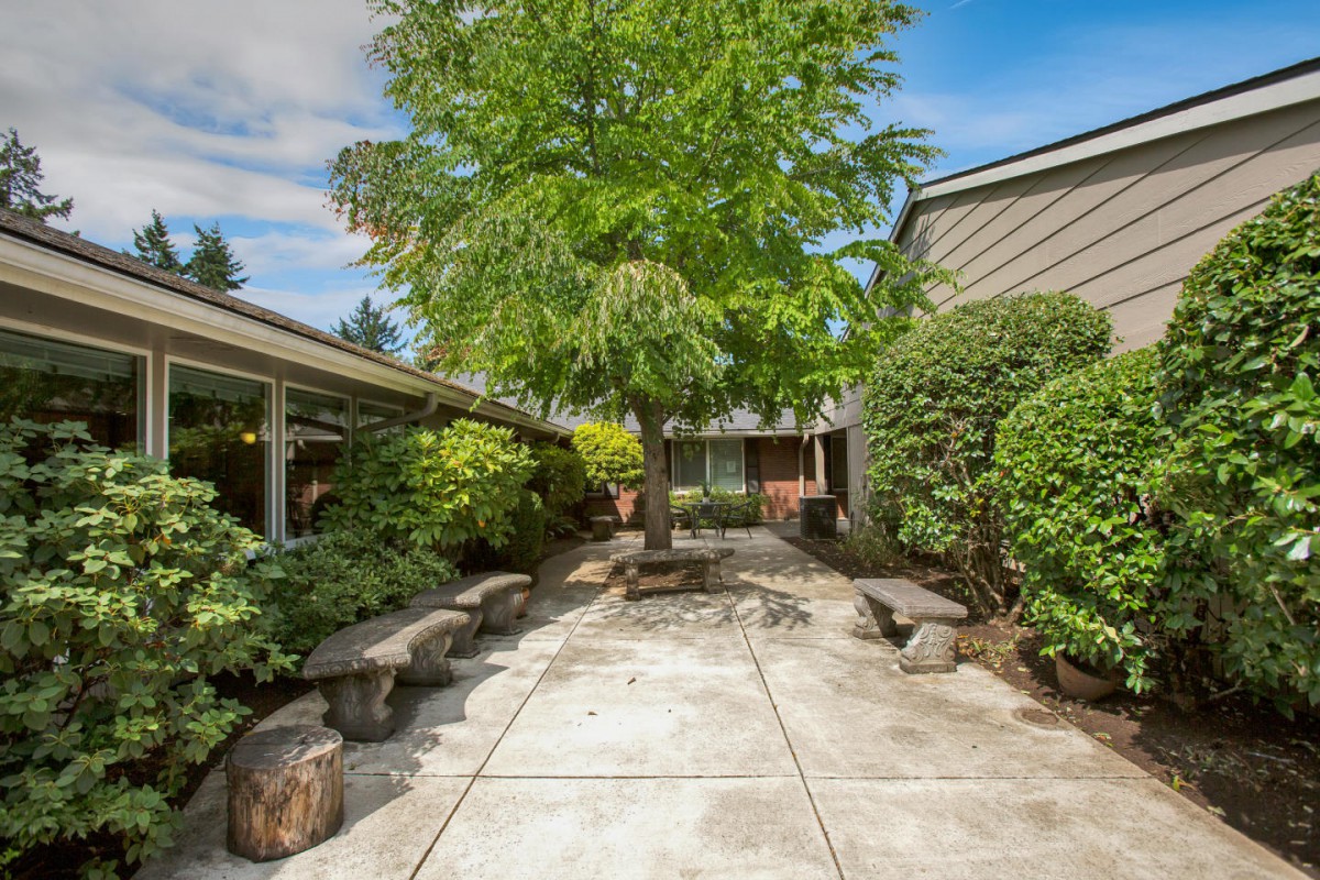 A serene courtyard with a central tree, surrounded by benches and lush greenery under a clear sky.
