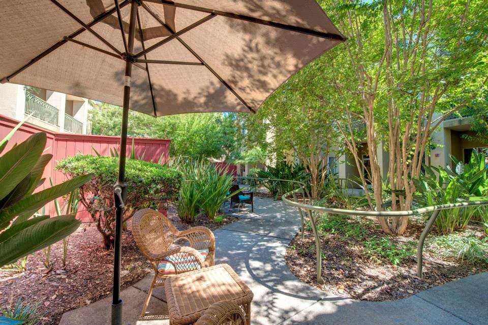 A serene garden setting with outdoor seating and a large umbrella, surrounded by lush greenery.