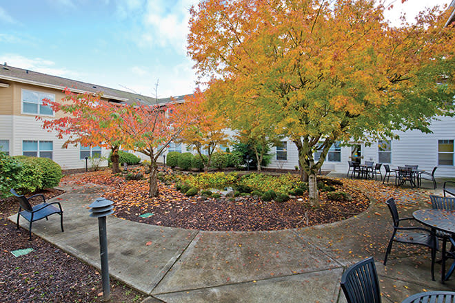 A serene courtyard featuring vibrant autumn trees and a winding pathway.