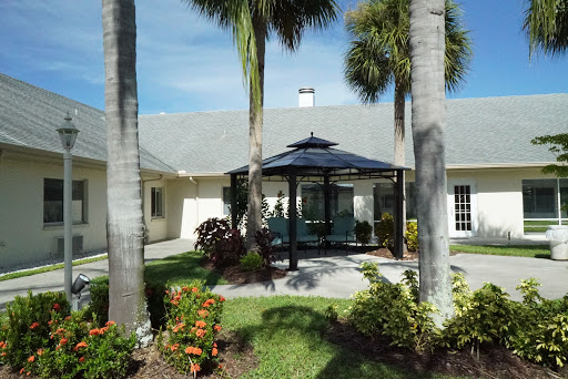 Palm Garden Of Sun City
