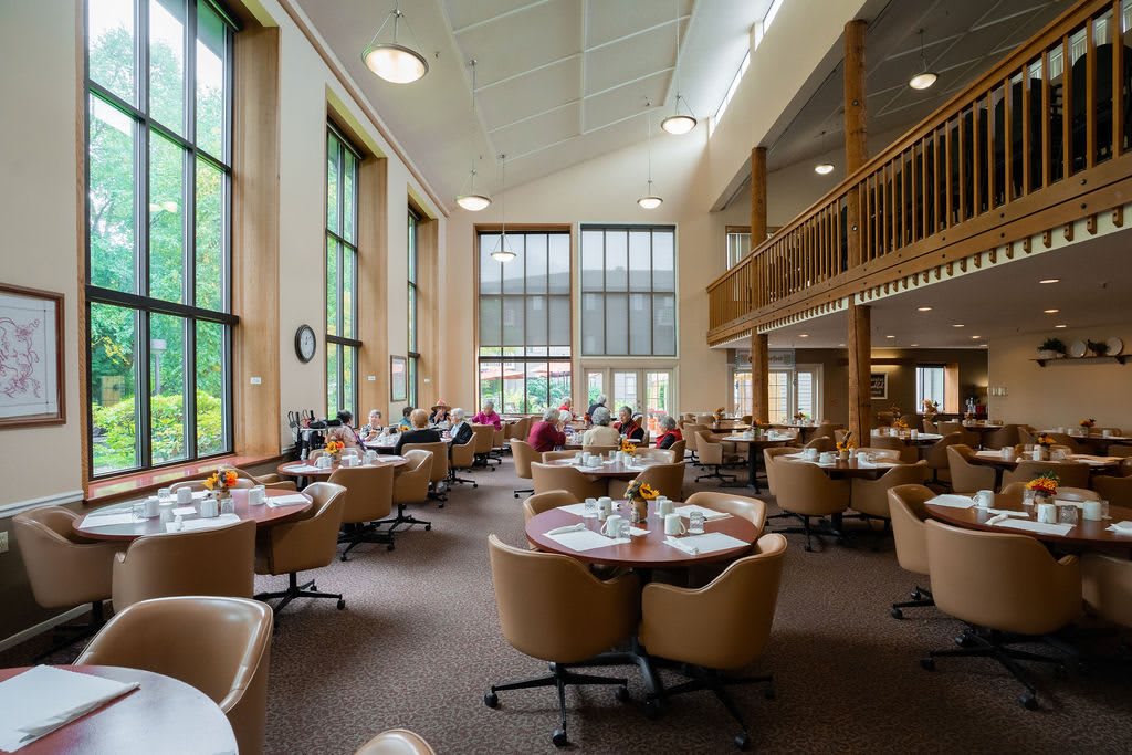 A spacious library with large windows and comfortable seating areas.