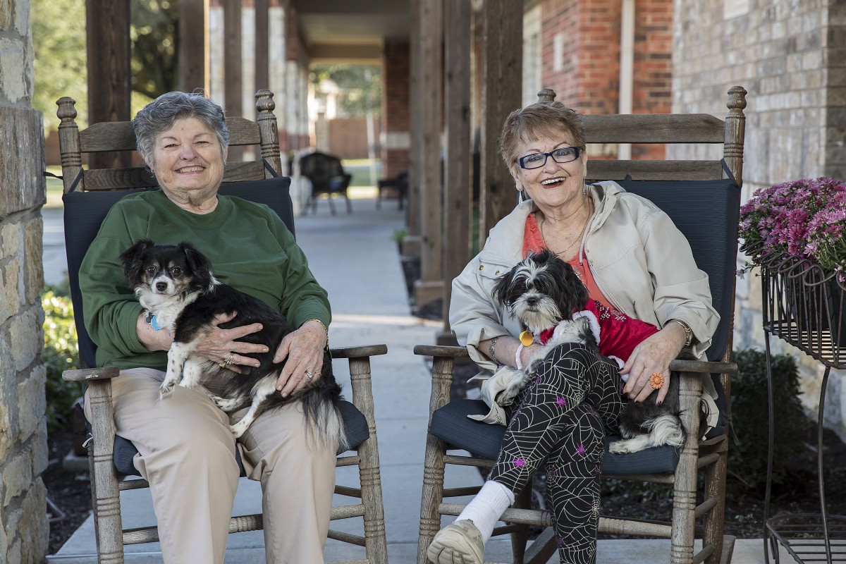 Two people sitting on a porch with their dogs, enjoying a relaxed outdoor setting.