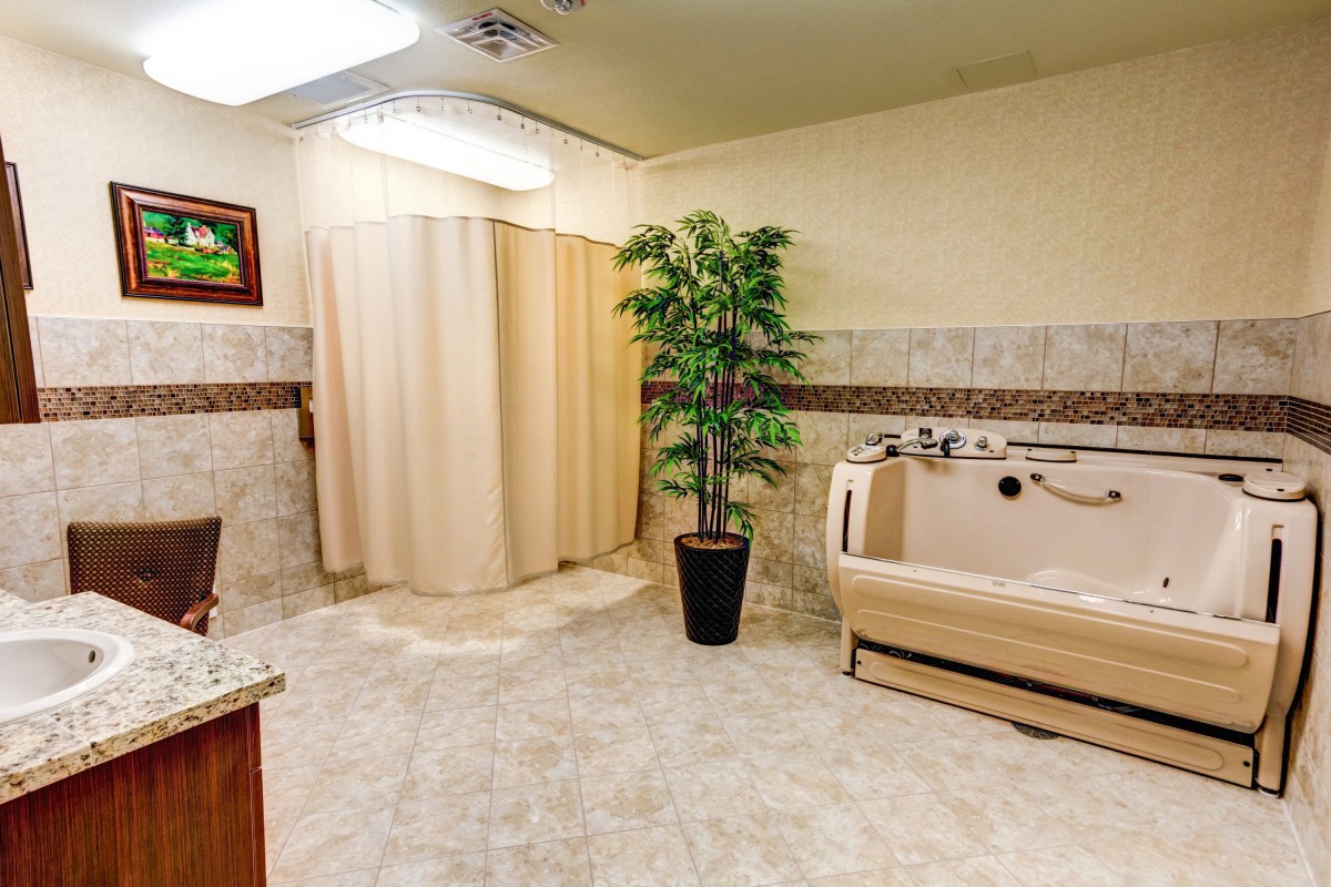 A well-designed bathroom featuring a bathtub, shower curtain, and decorative plant.