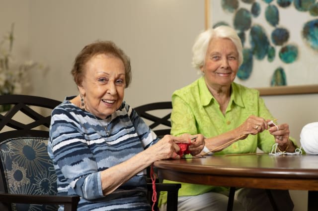 Two elderly women enjoying knitting together indoors.