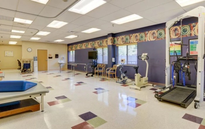 A spacious therapy room equipped with various exercise machines and vibrant wall decor.