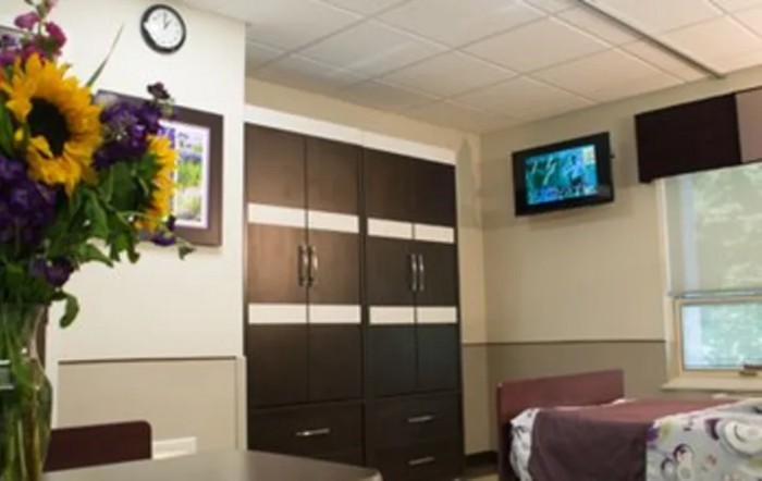 A hospital room featuring a wardrobe, wall-mounted television, bed, and clock.