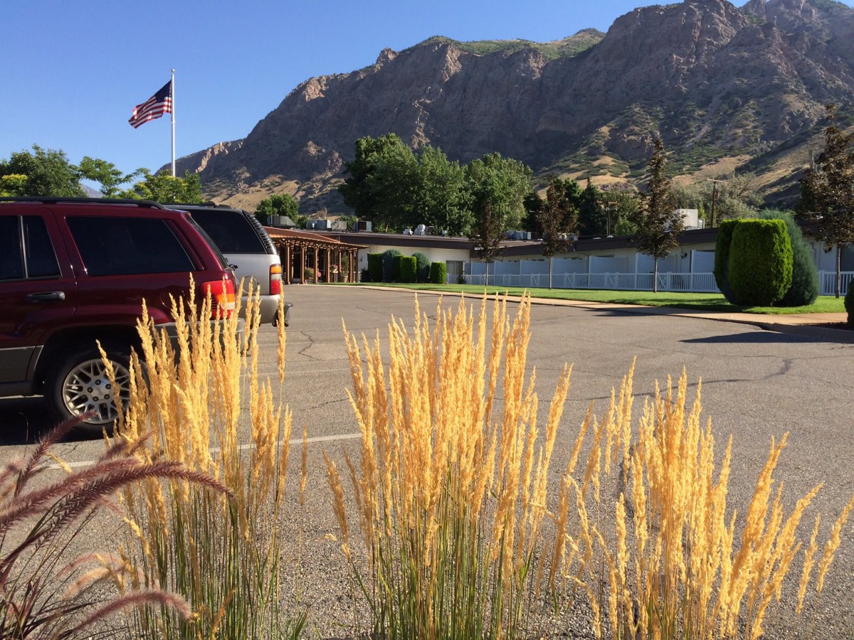 A parking lot with tall grasses in the foreground, mountains in the background, and a flag waving nearby.