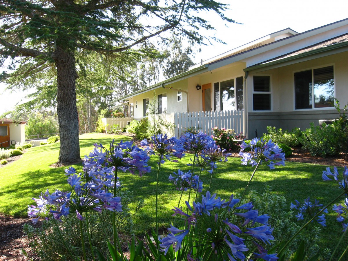 A charming house with a landscaped garden featuring vibrant purple flowers.