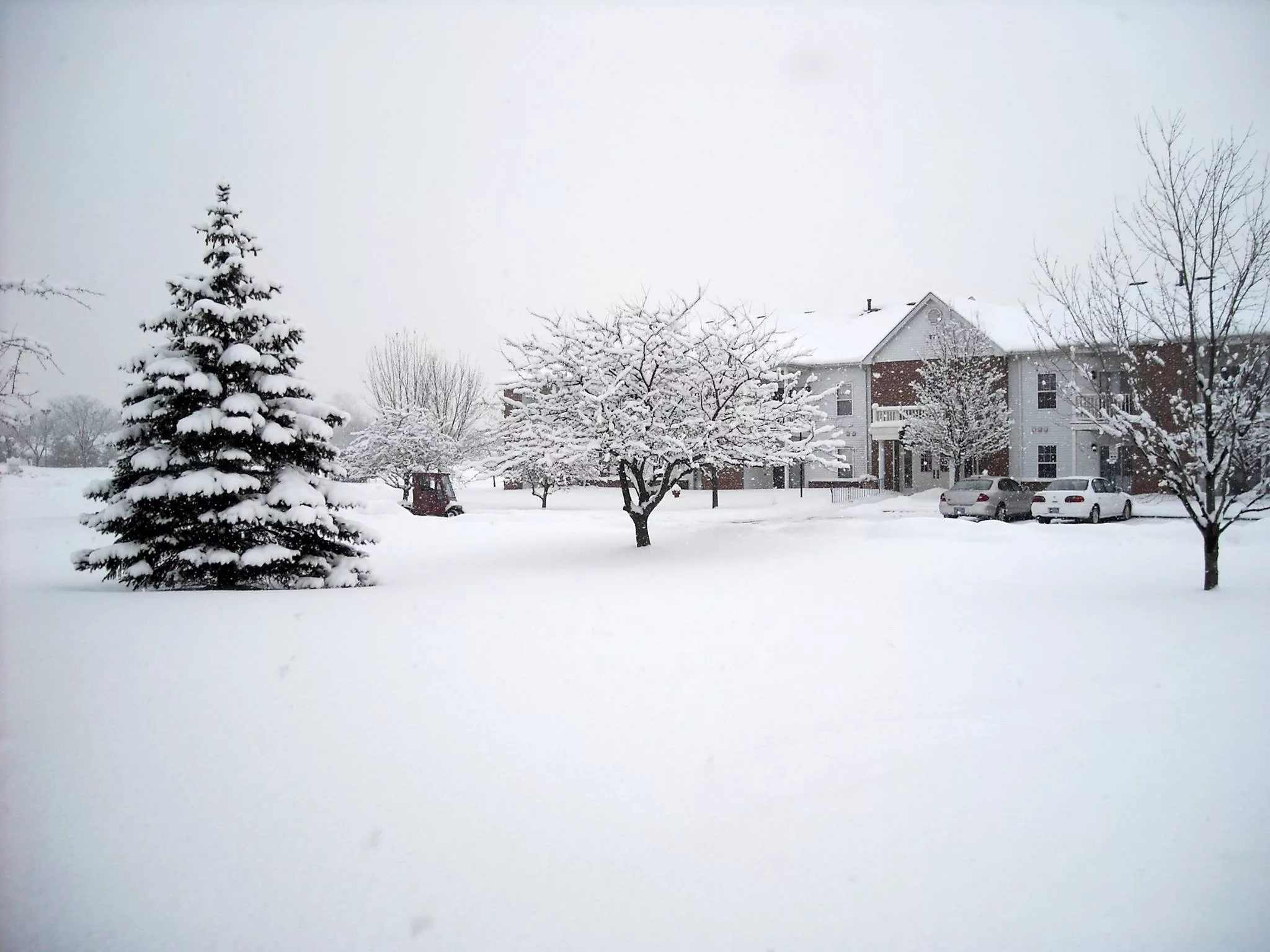 Village Green