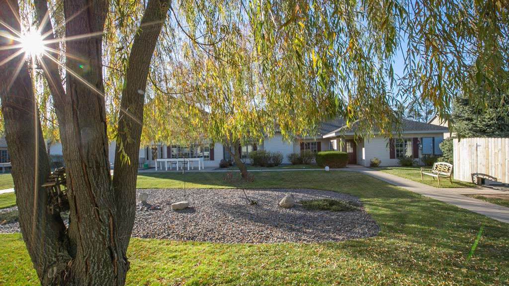 A sunny view of a suburban house with a green yard and trees.
