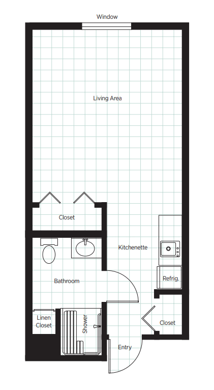 Studio apartment floor plan with living area, kitchen, bathroom, and closet.