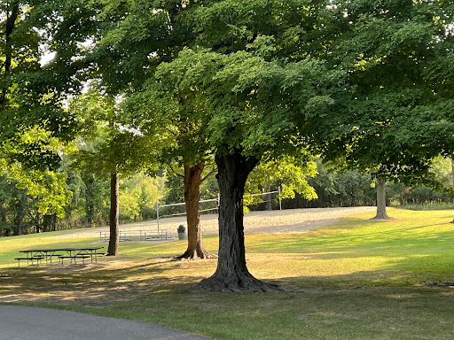 A serene park scene showcasing lush green trees and open grass under a clear sky.