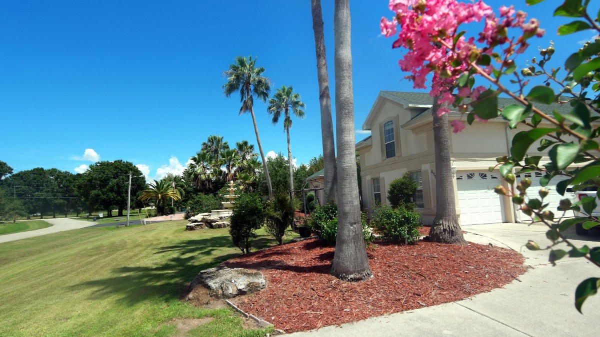 A beautiful house with well-maintained landscaping, featuring palm trees and vibrant flowers against a clear blue sky.