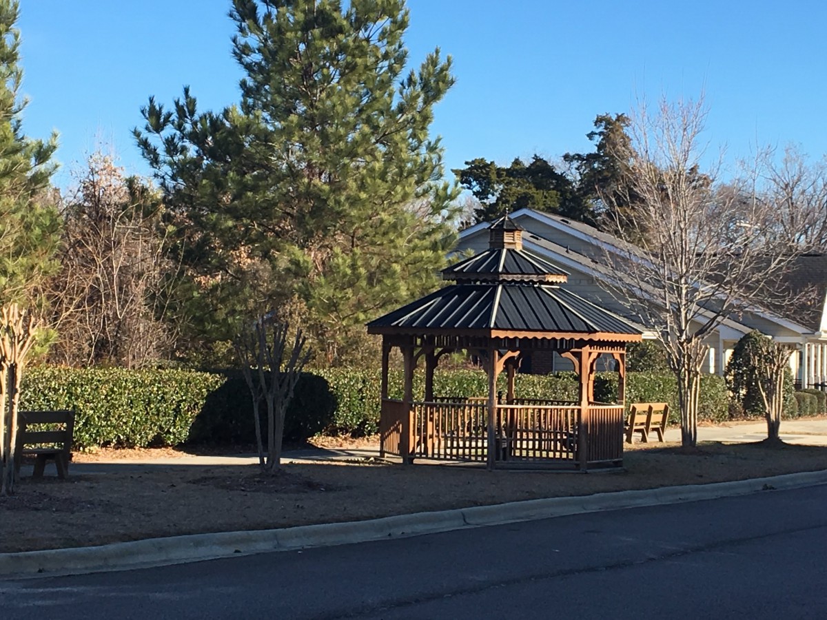 A wooden gazebo in a park surrounded by trees and greenery under a clear blue sky.
