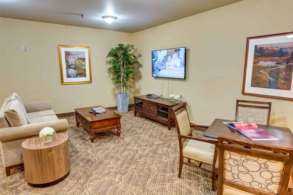 A cozy living room with seating, a television, and a decorative plant.
