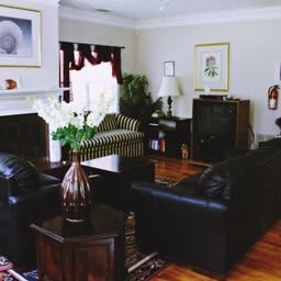 A cozy living room with sofas, a TV, and decorative plants.