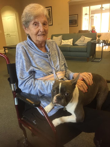 An elderly woman enjoying the company of her dog while seated comfortably in a wheelchair.