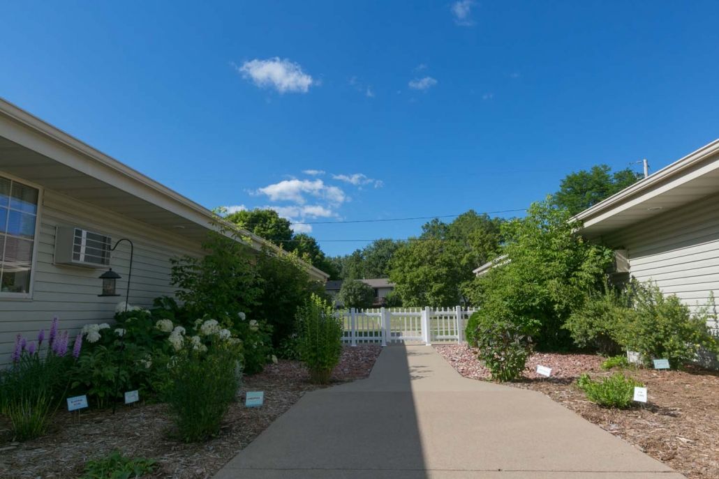 A peaceful pathway lined with greenery on a clear, sunny day.