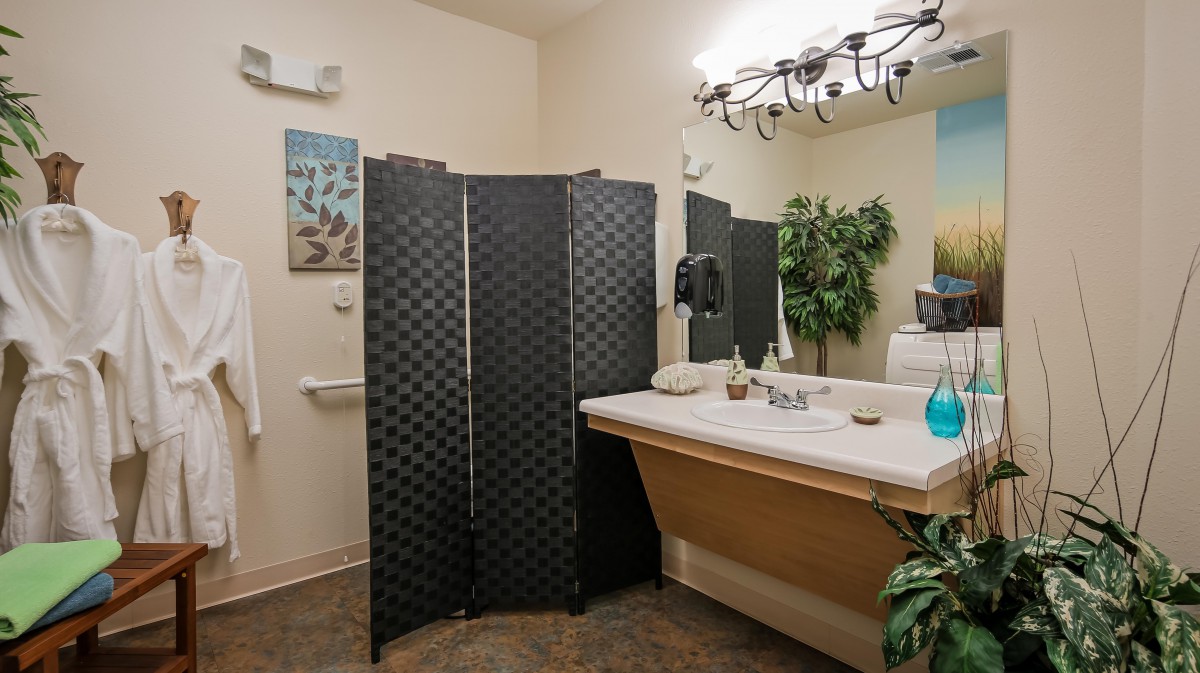 A bathroom with a screen divider, sink, mirror, and decorative plants.