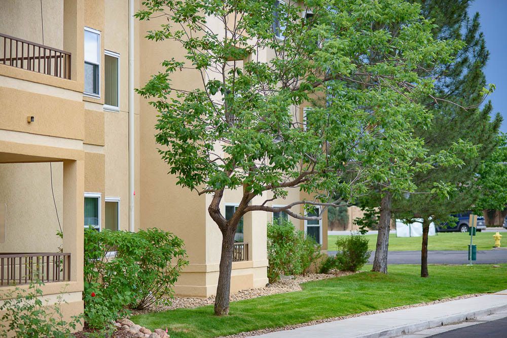 An apartment building surrounded by trees and well-maintained landscaping.