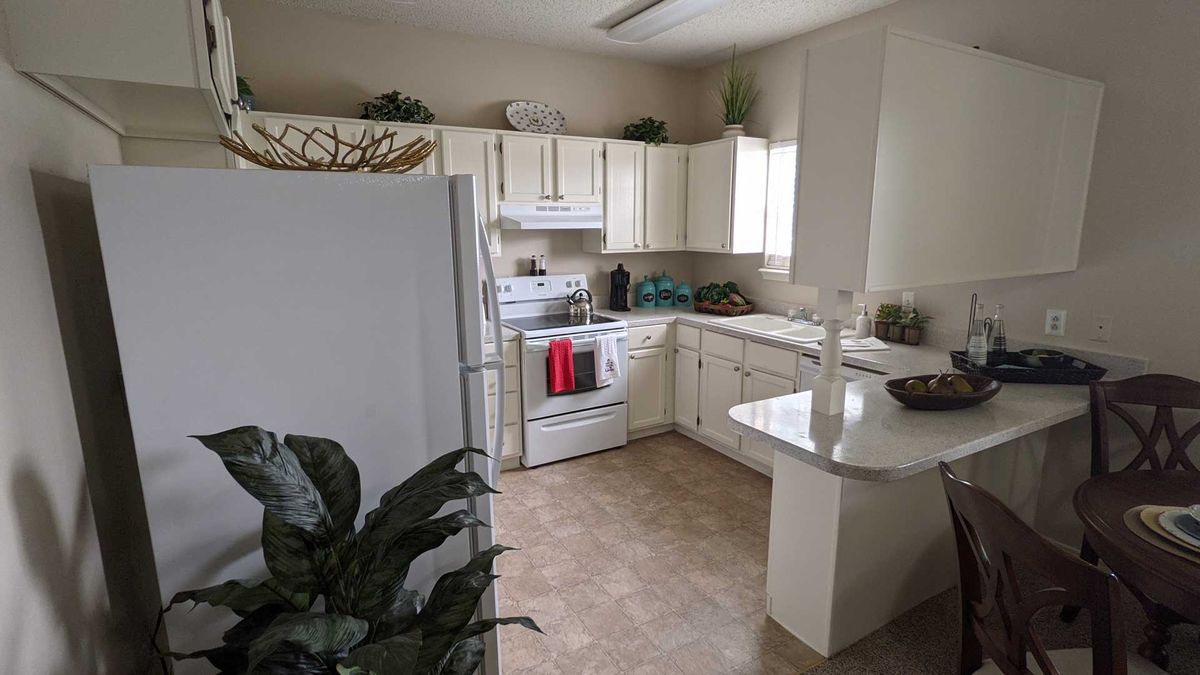 A modern kitchen with white cabinets and appliances, featuring a clean design and decorative plants.