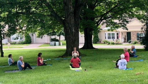 Individuals practicing yoga and meditation beneath a large tree in a serene outdoor setting.