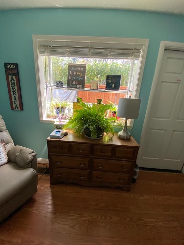 A cozy living room corner featuring a dresser with a lush green plant, a lamp, and decor against teal walls by a window.