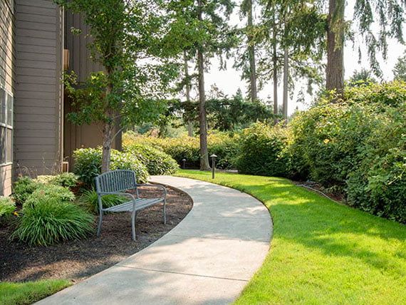 A serene garden pathway bordered by lush greenery and a bench.