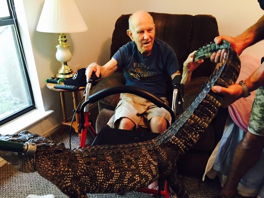 An elderly man in a wheelchair having an up-close encounter with an alligator.