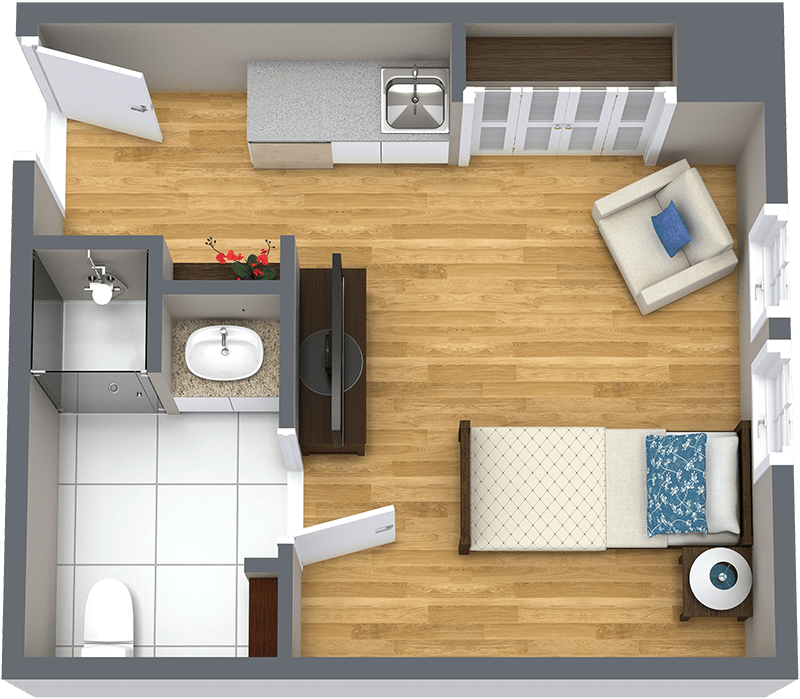 Top-down view of a compact studio apartment with a functional layout.