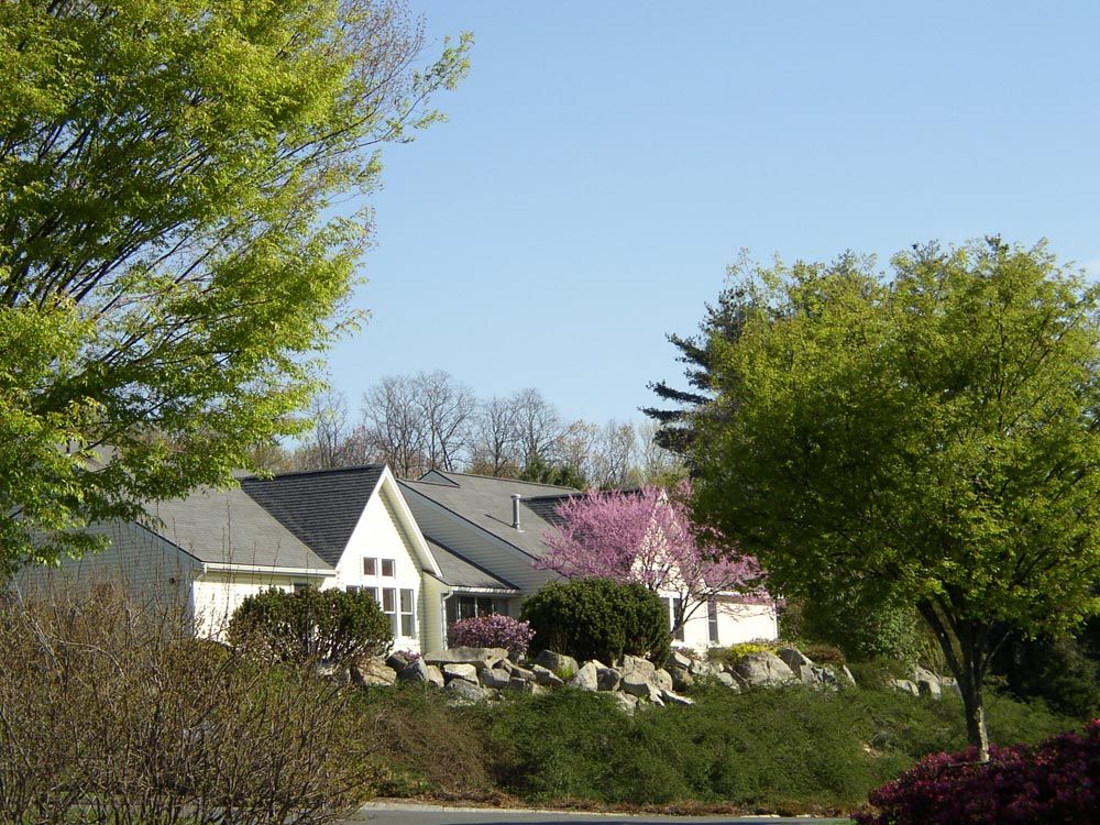 A picturesque suburban neighborhood with blooming trees and neatly landscaped gardens.