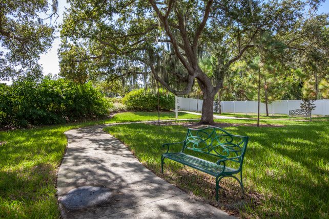 A peaceful park scene featuring a green bench beside a shaded pathway surrounded by trees and greenery.