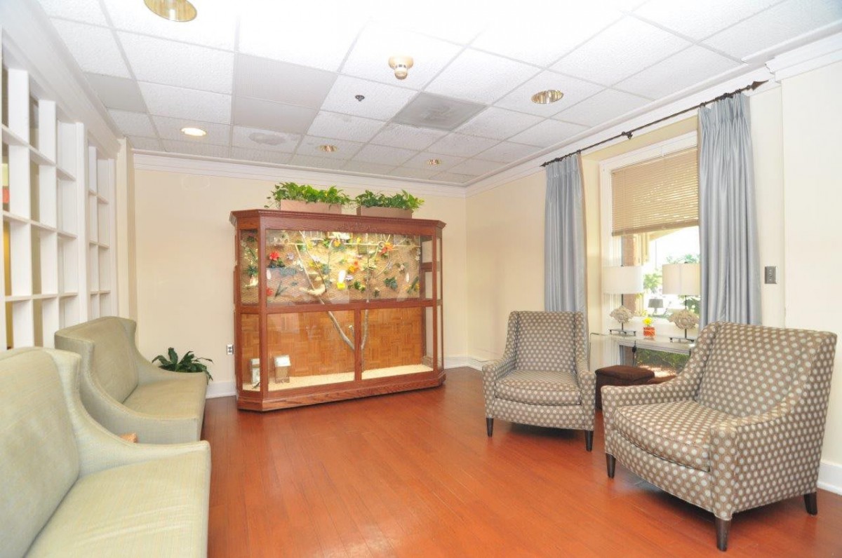 A comfortable waiting room featuring armchairs and a decorative cabinet.