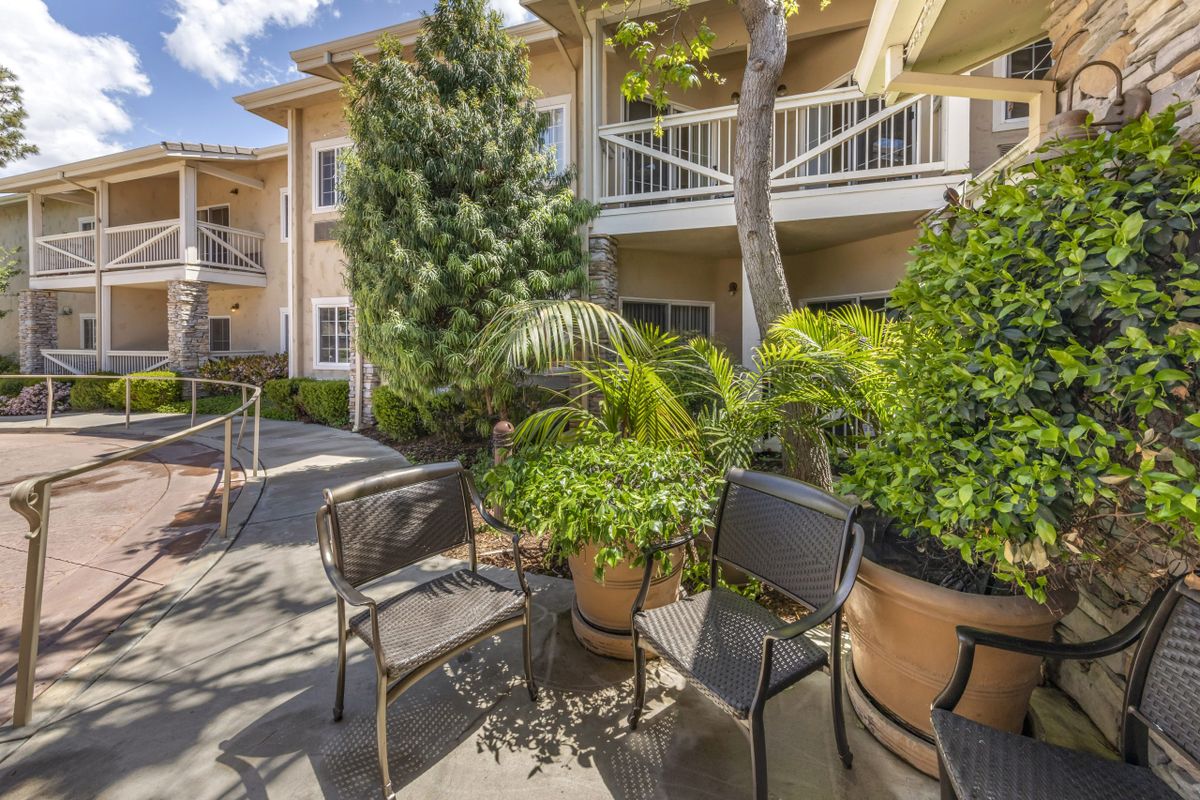 A sunny courtyard with chairs and lush potted plants outside a multi-story building.